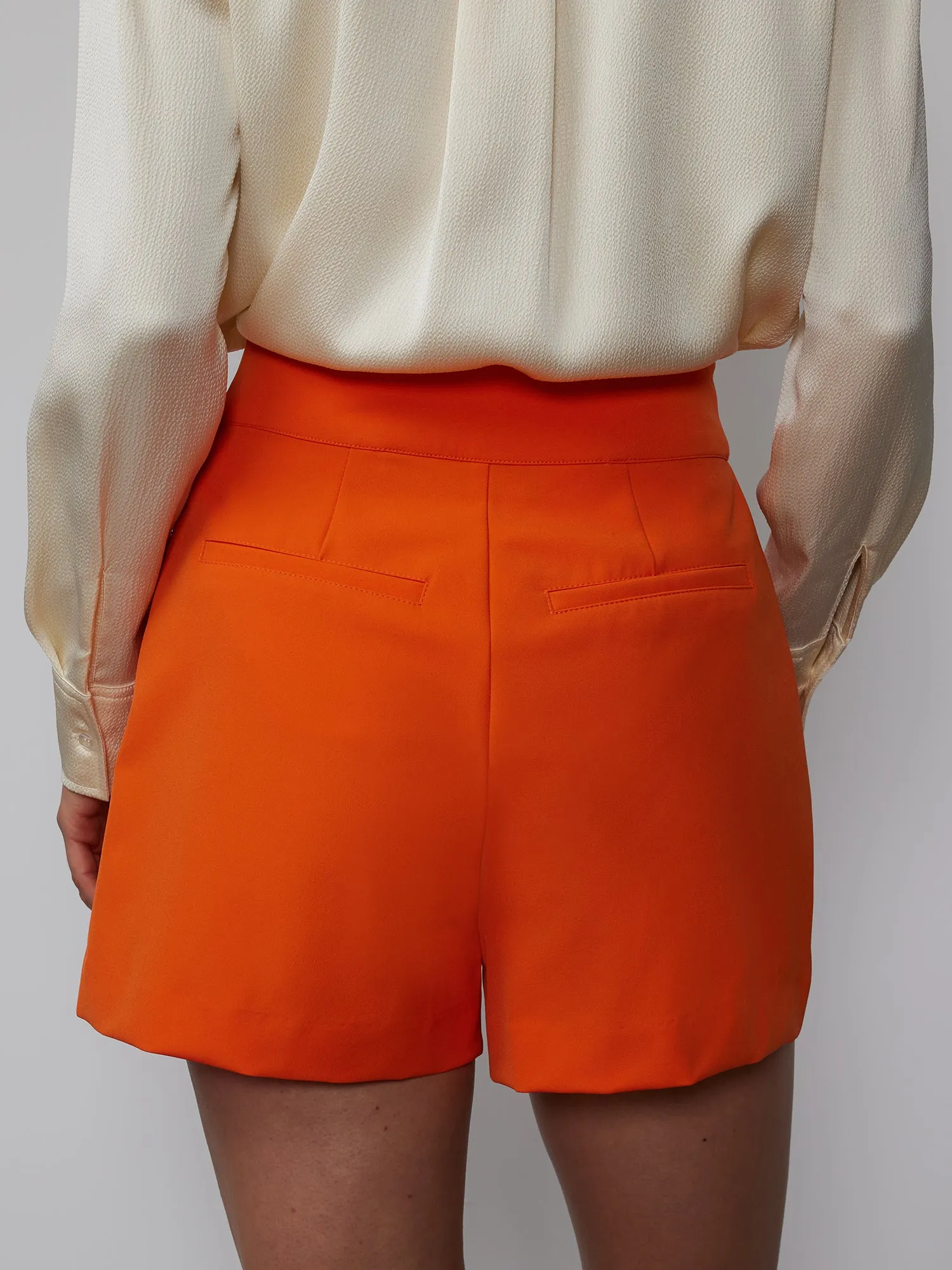 High Rise Pleated Shorts