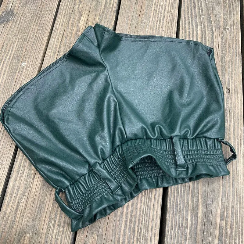 Janelle Leather Shorts